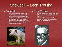 This image has an empty alt attribute; its file name is image.jpeg